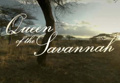 KH077 - Document - BBC Natural World 2012 Queen of the Savannah (1.6G)